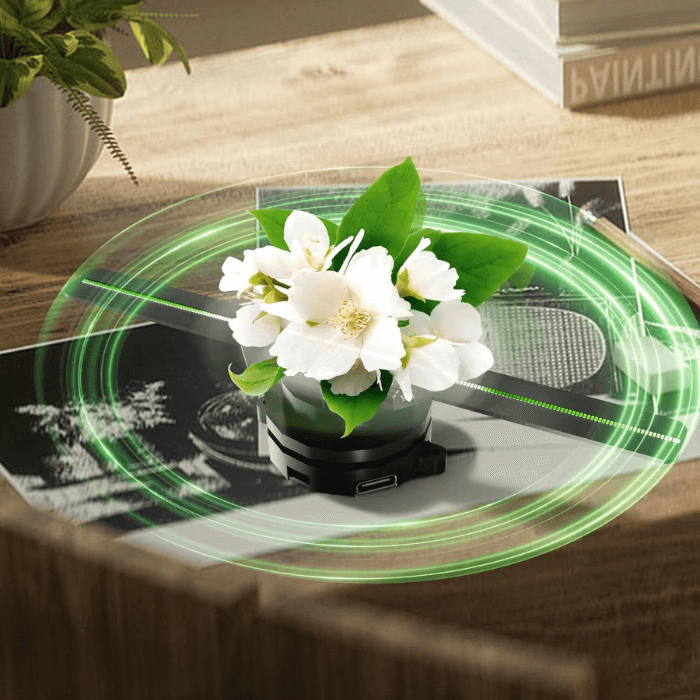 Hologram Fan